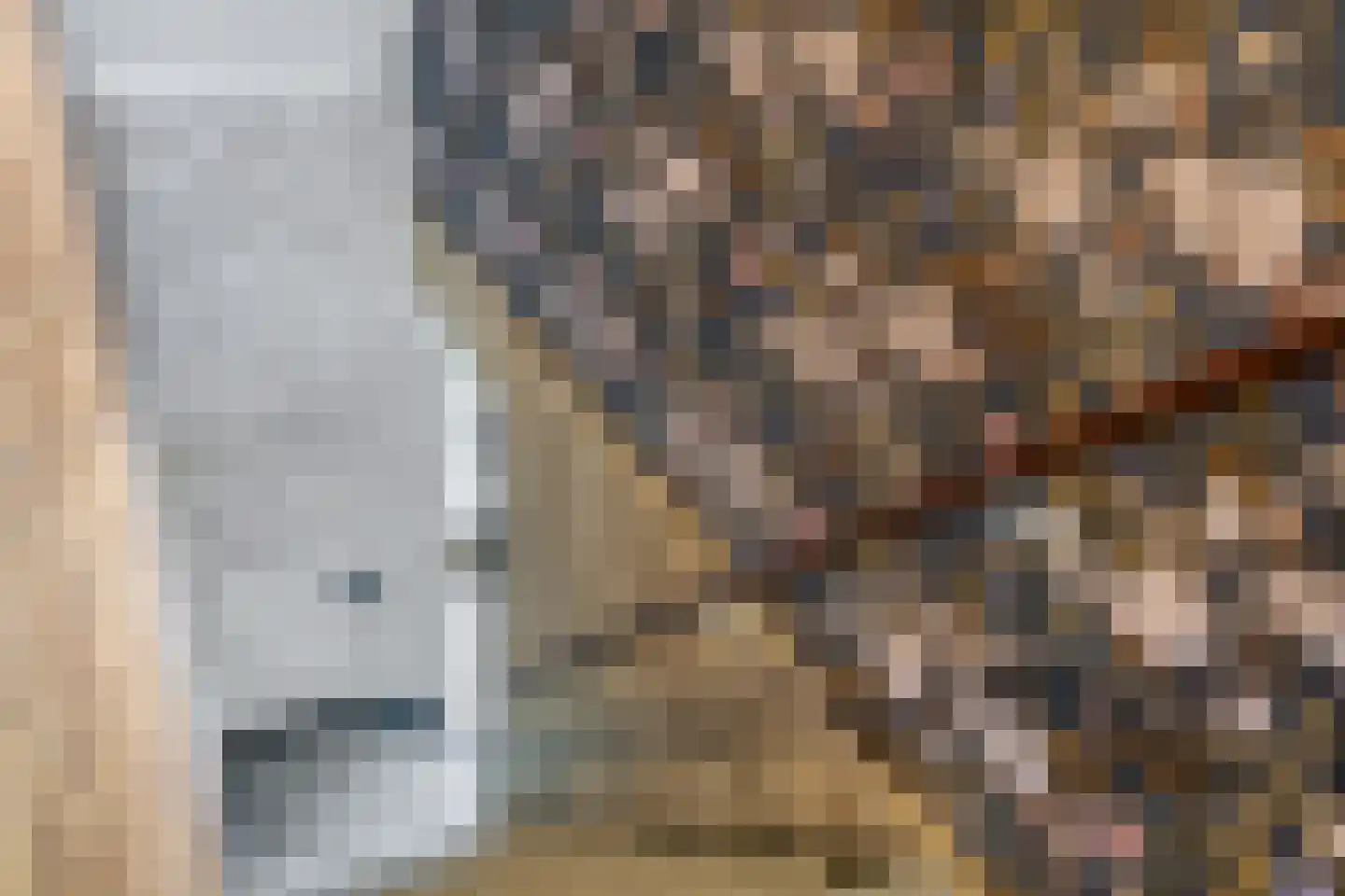 Galamalaan 16 Koudum thumbnail 18
