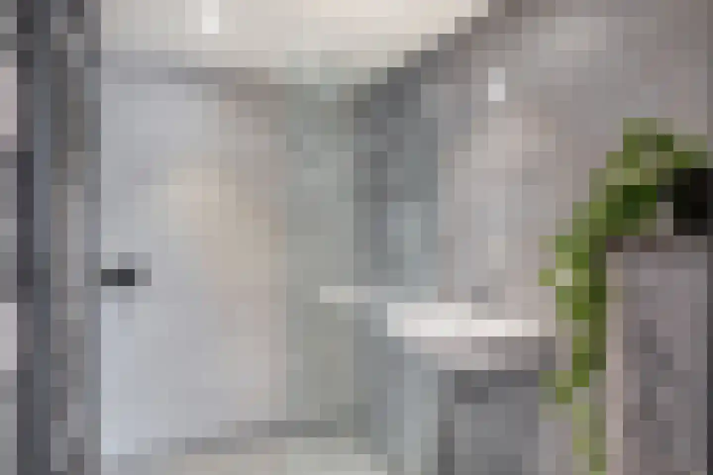 Galamalaan 16 Koudum thumbnail 23