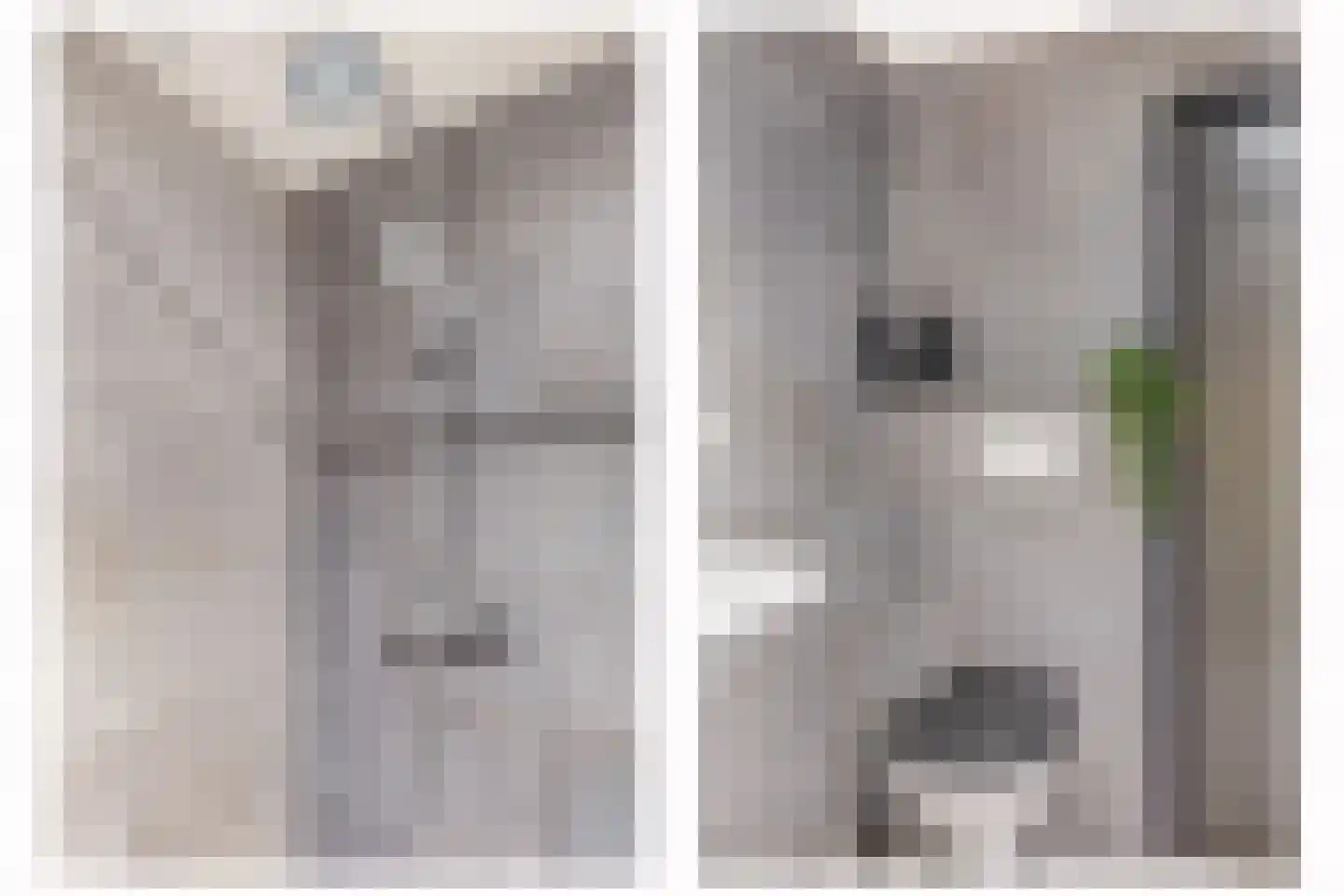 Galamalaan 16 Koudum thumbnail 24