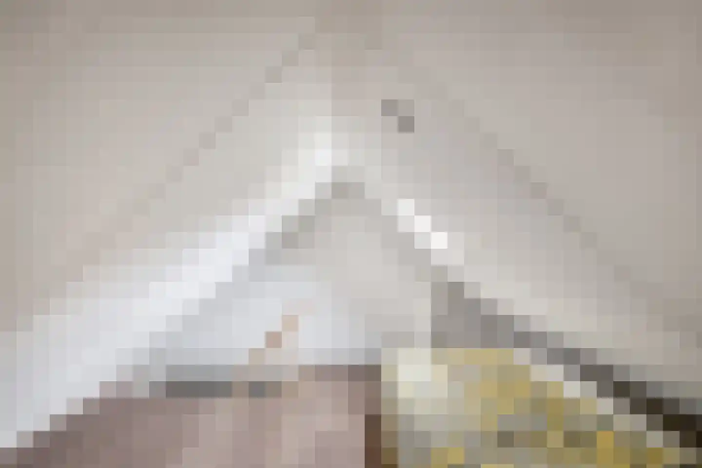 Galamalaan 16 Koudum thumbnail 32