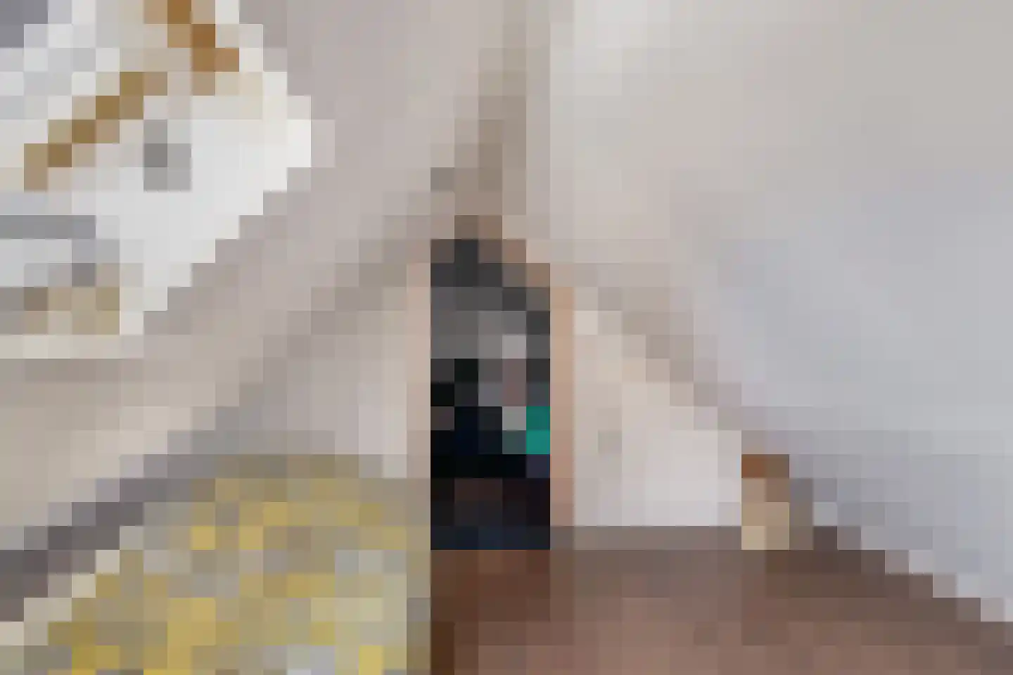 Galamalaan 16 Koudum thumbnail 33