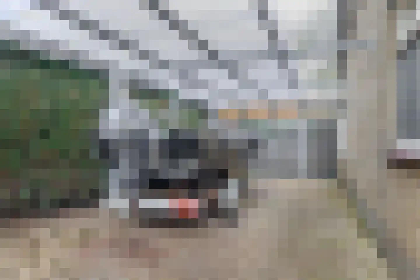 Galamalaan 16 Koudum thumbnail 34