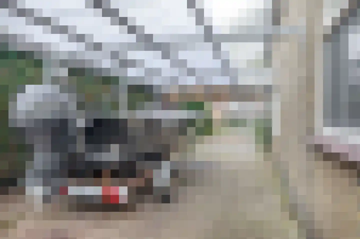 Galamalaan 16 Koudum thumbnail 35