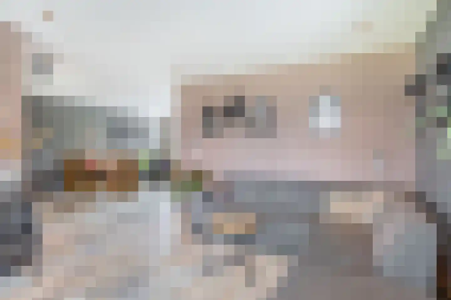 Galamalaan 16 Koudum thumbnail 8