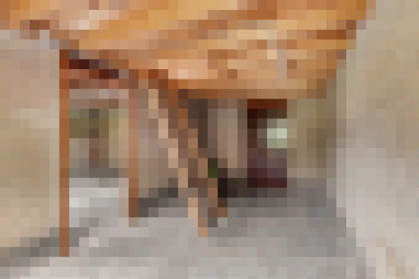 Galamalaan 18 Koudum thumbnail 26
