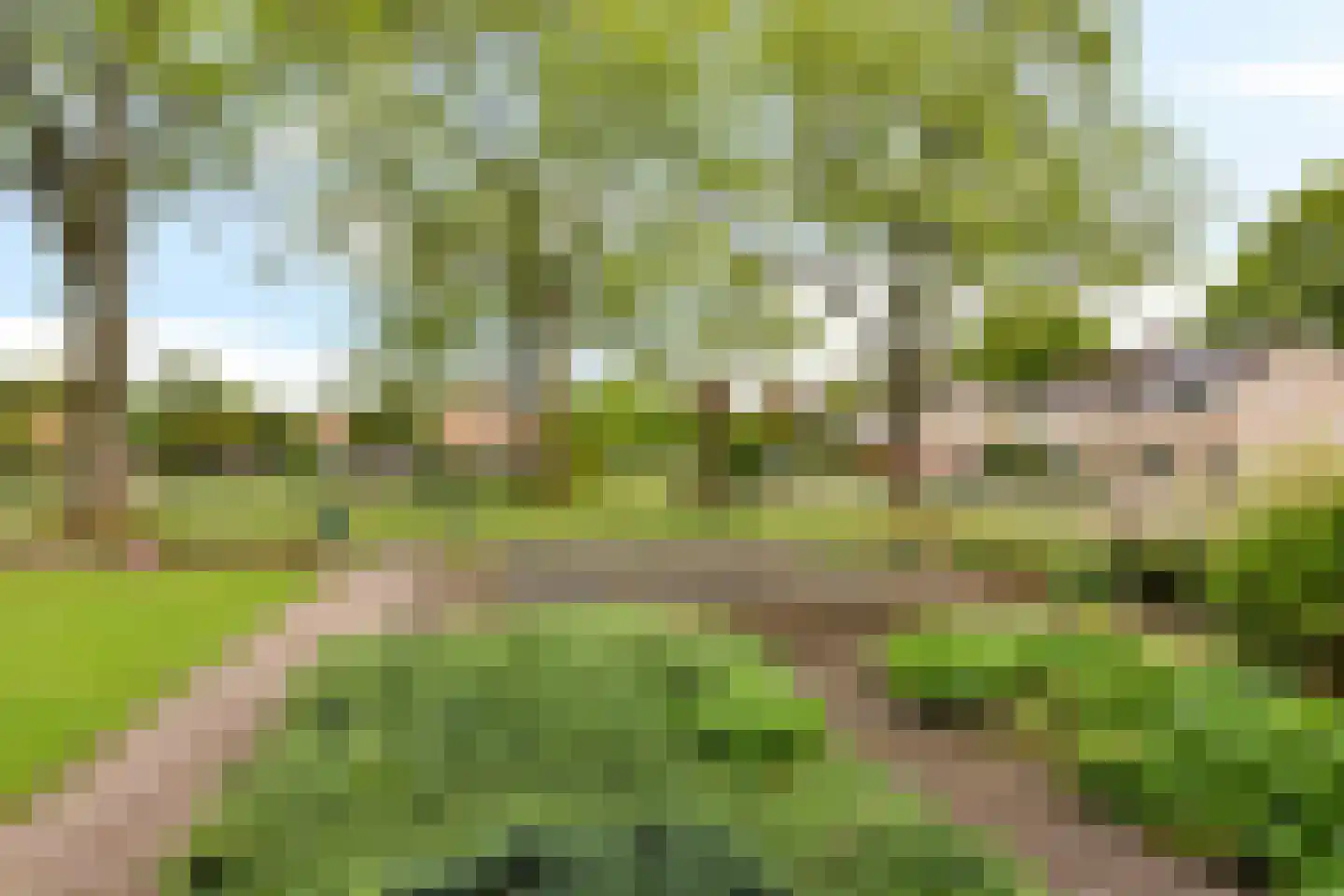 Galamalaan 18 Koudum thumbnail 35