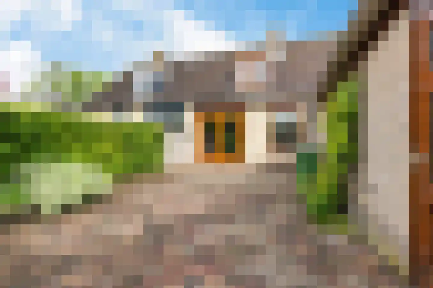 Galamalaan 18 Koudum thumbnail 4