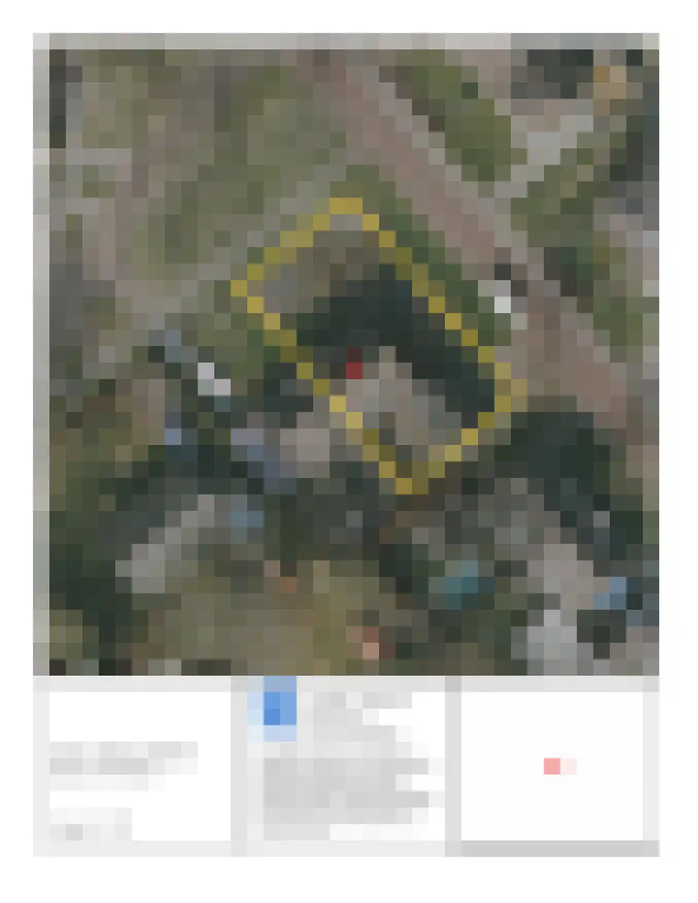 Galamalaan 18 Koudum thumbnail 44