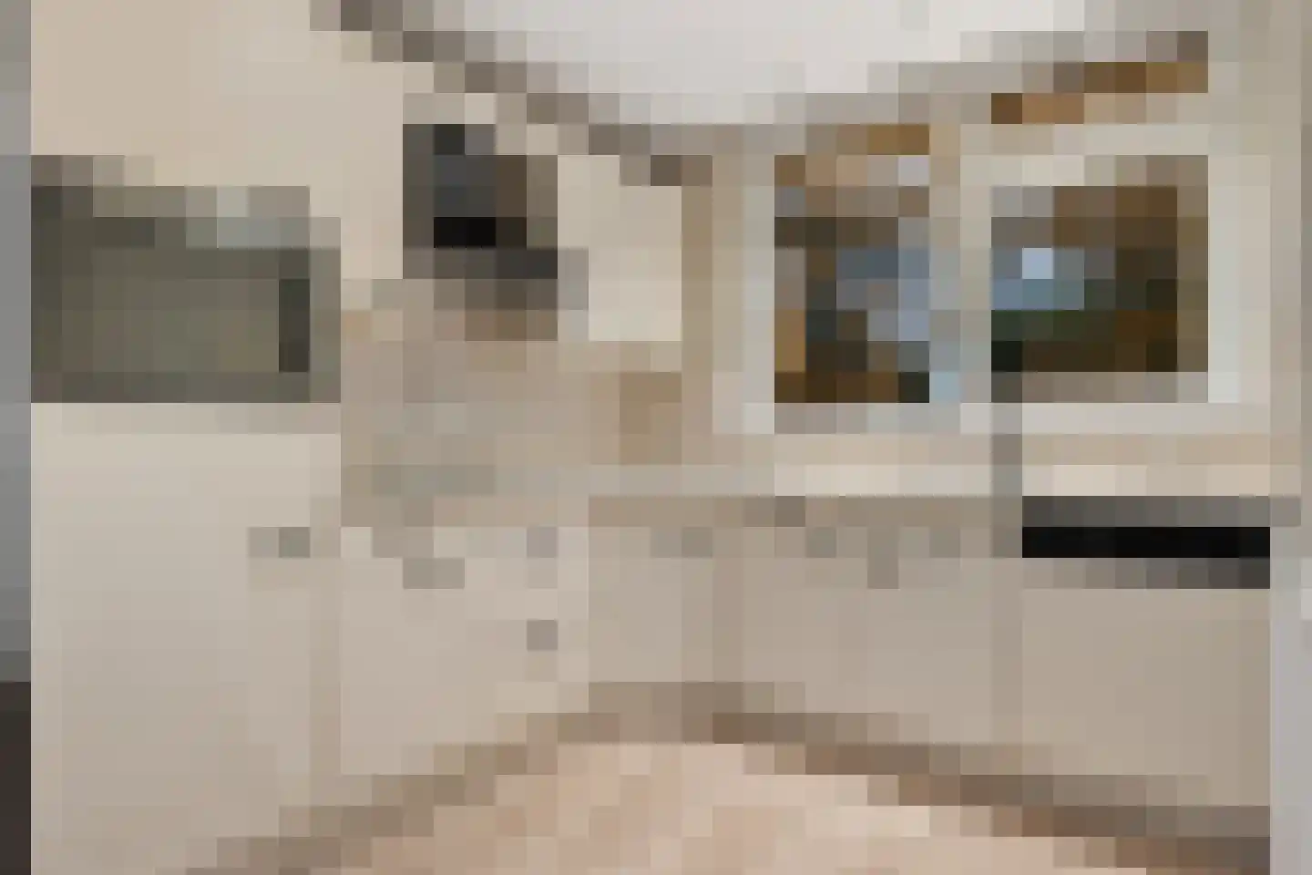 Galamalaan 32 Creil thumbnail 11