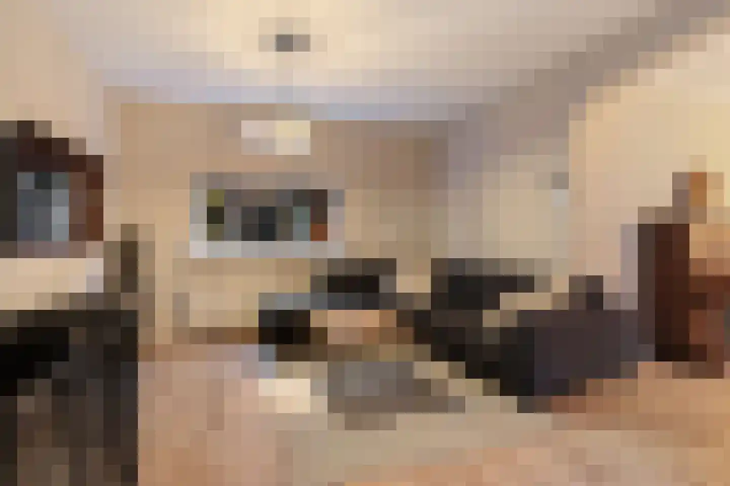 Galamalaan 32 Creil thumbnail 13