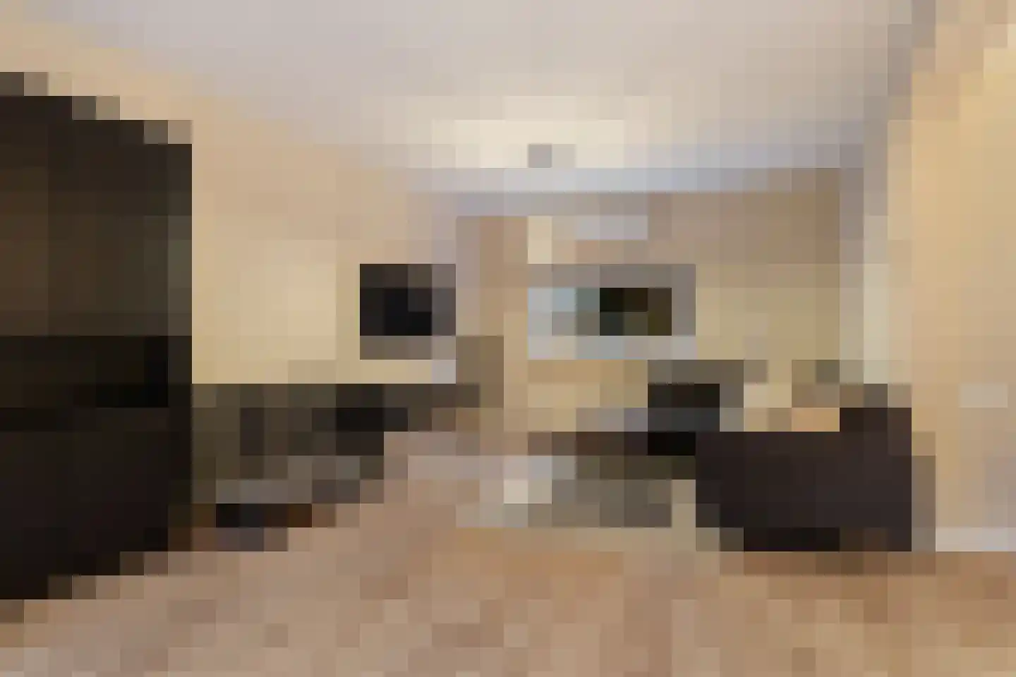 Galamalaan 32 Creil thumbnail 14