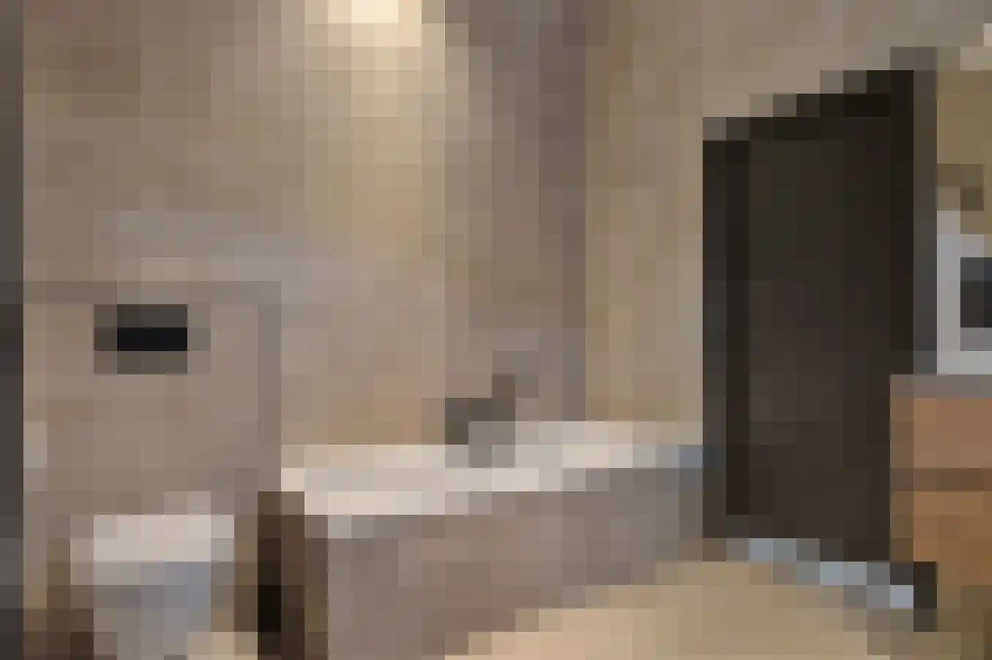 Galamalaan 32 Creil thumbnail 21