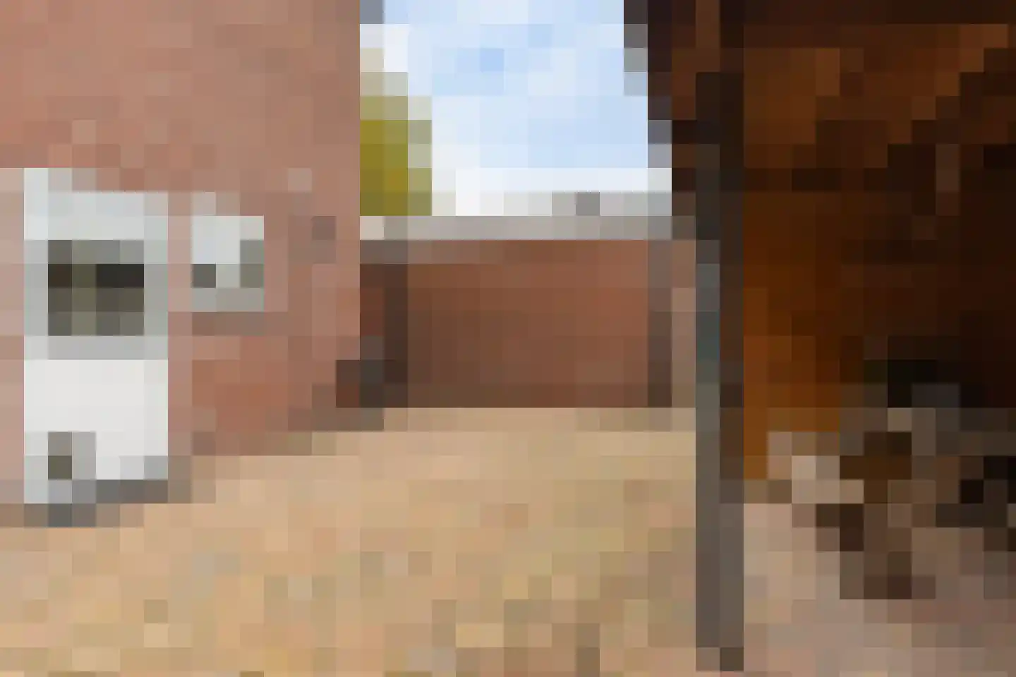 Galamalaan 32 Creil thumbnail 31