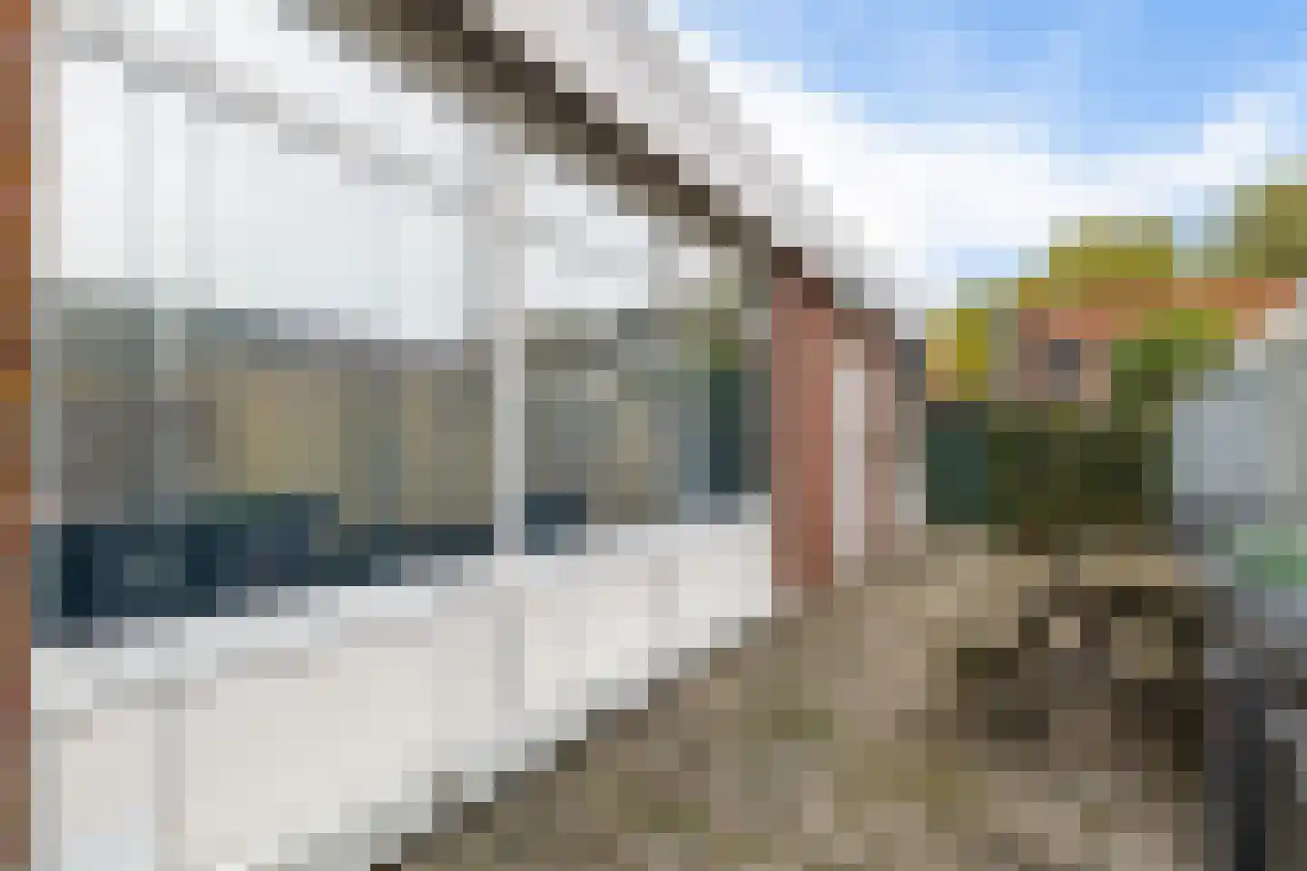 Galamalaan 32 Creil thumbnail 34