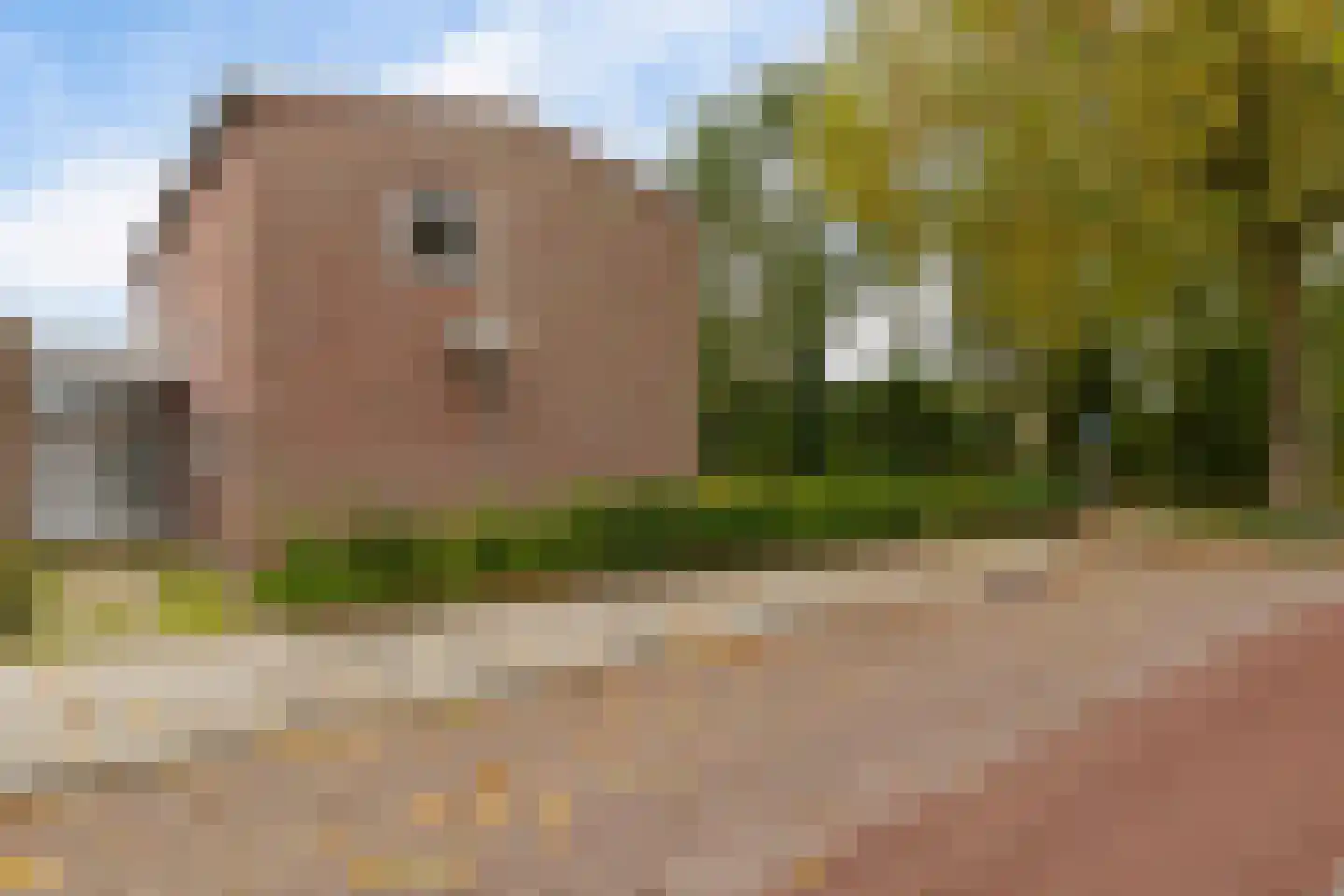 Galamalaan 32 Creil thumbnail 40