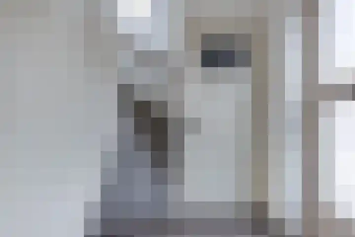 Galamalaan 51 Creil thumbnail 15