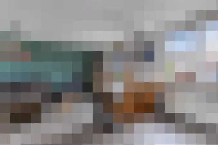 Galamalaan 51 Creil thumbnail 17