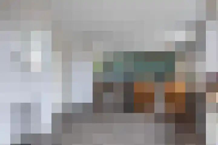 Galamalaan 51 Creil thumbnail 18