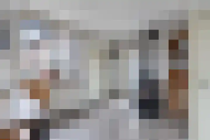 Galamalaan 51 Creil thumbnail 20
