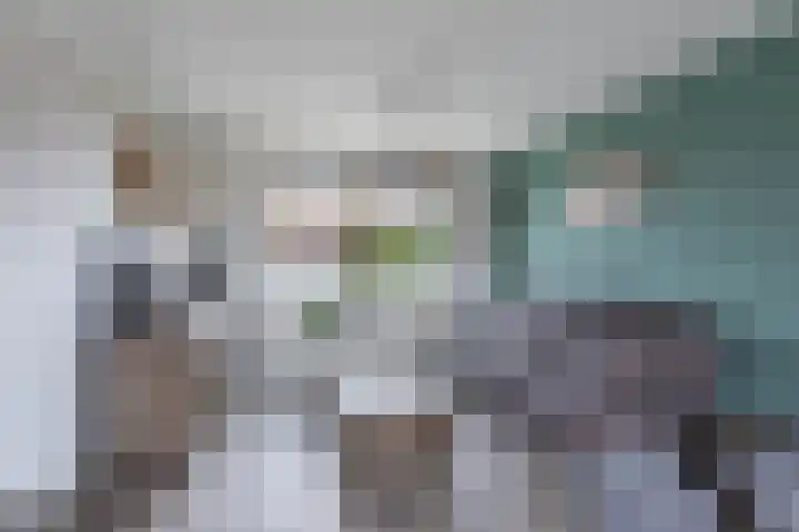 Galamalaan 51 Creil thumbnail 21