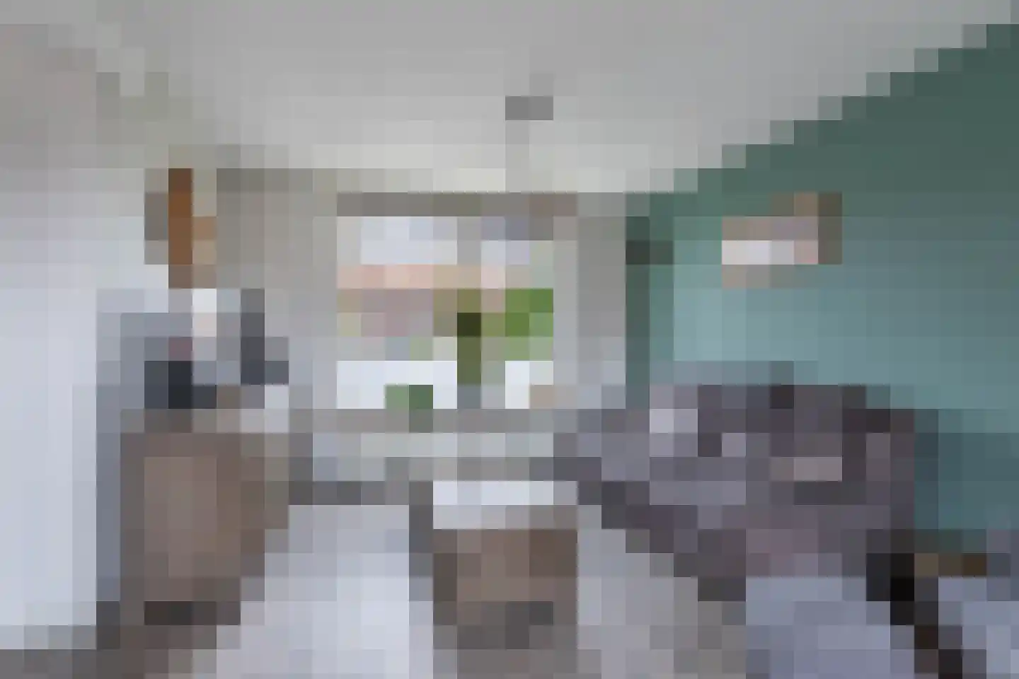 Galamalaan 51 Creil thumbnail 21