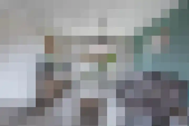 Galamalaan 51 Creil thumbnail 22