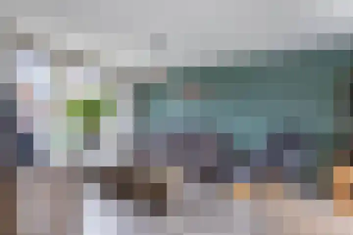 Galamalaan 51 Creil thumbnail 26