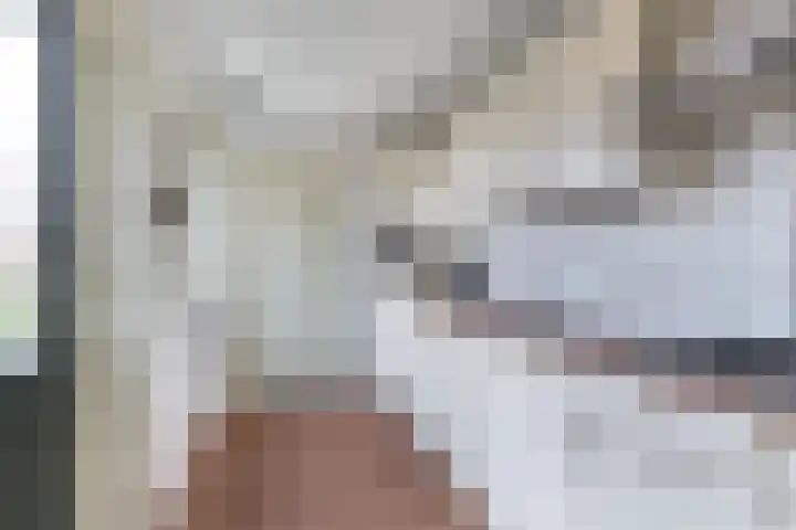 Galamalaan 51 Creil thumbnail 27