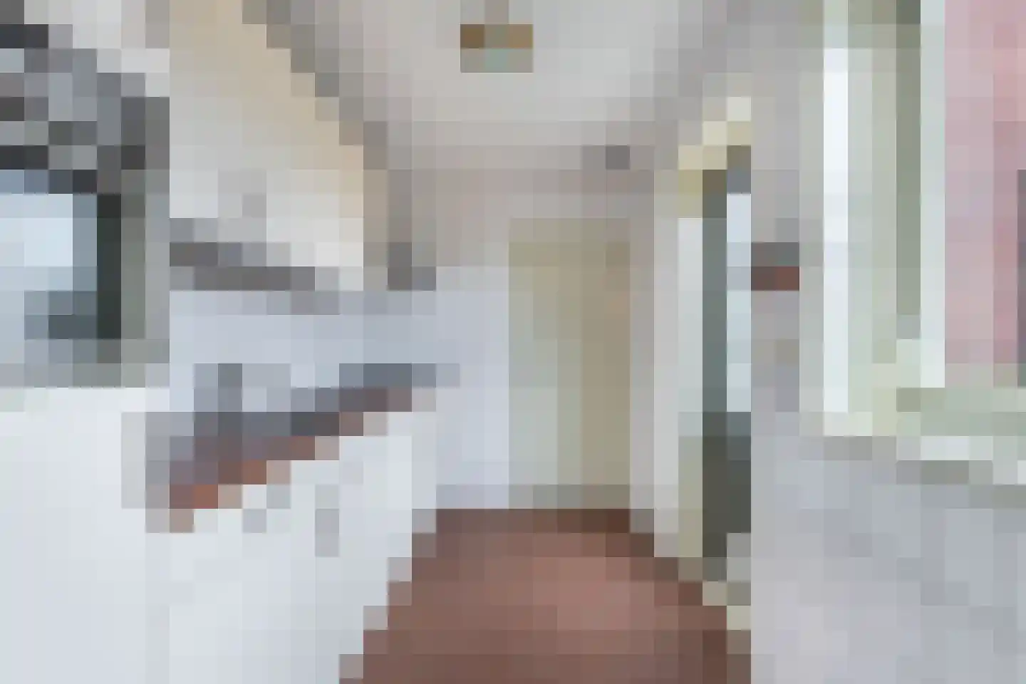 Galamalaan 51 Creil thumbnail 28