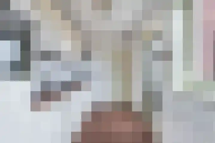 Galamalaan 51 Creil thumbnail 28