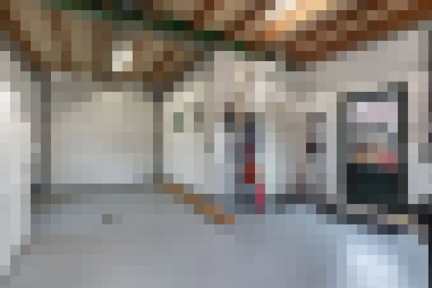 Galamalaan 51 Creil thumbnail 29