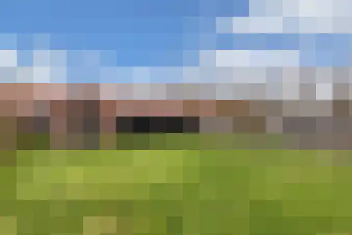 Galamalaan 51 Creil thumbnail 32