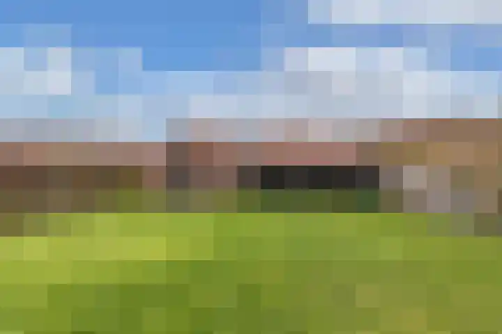 Galamalaan 51 Creil thumbnail 33