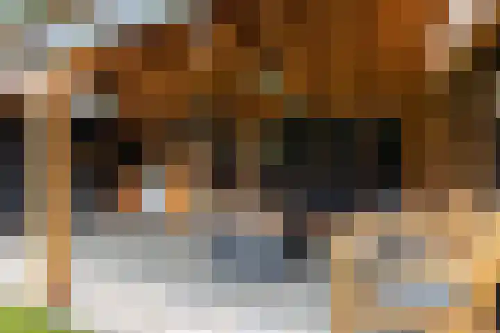 Galamalaan 51 Creil thumbnail 36