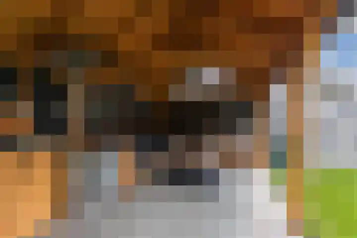 Galamalaan 51 Creil thumbnail 37