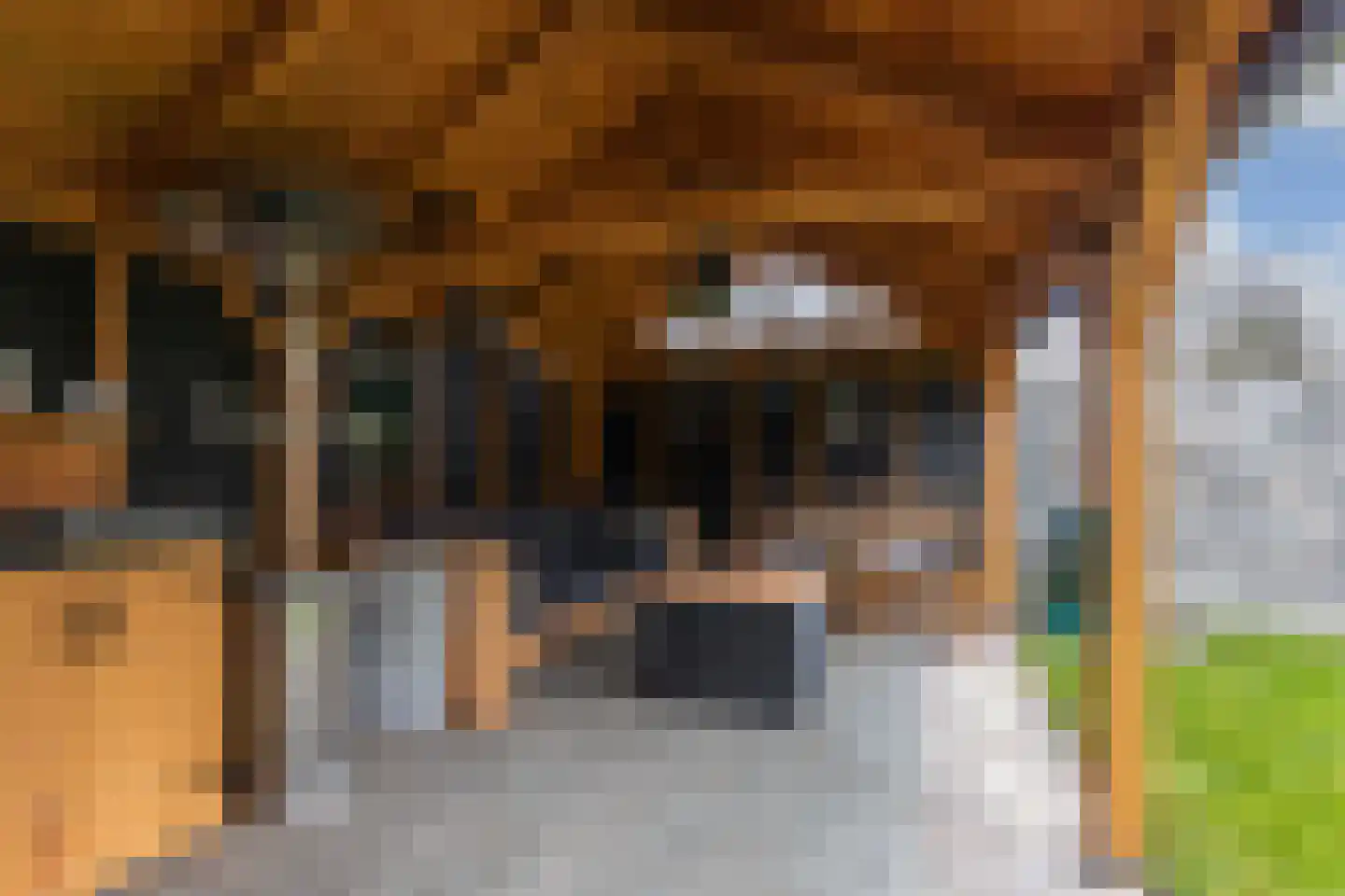 Galamalaan 51 Creil thumbnail 37