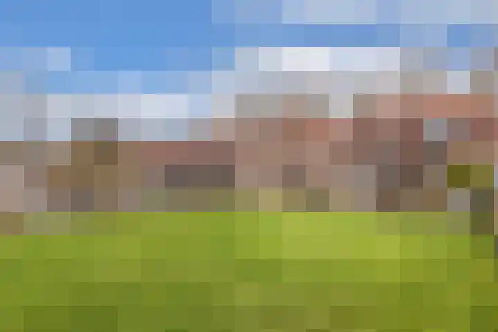 Galamalaan 51 Creil thumbnail 38