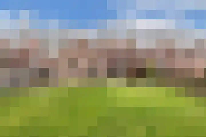 Galamalaan 51 Creil thumbnail 39