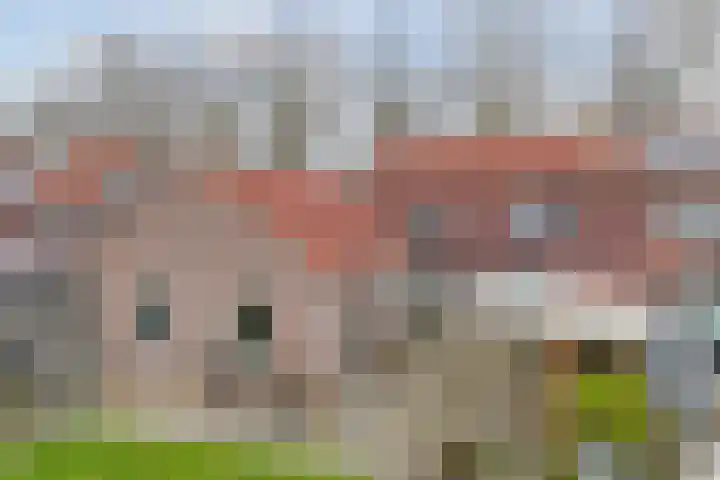 Galamalaan 51 Creil thumbnail 41