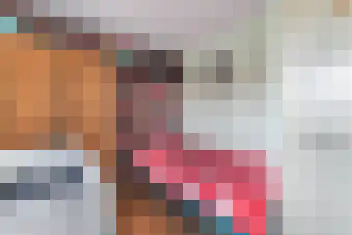 Galamalaan 51 Creil thumbnail 47