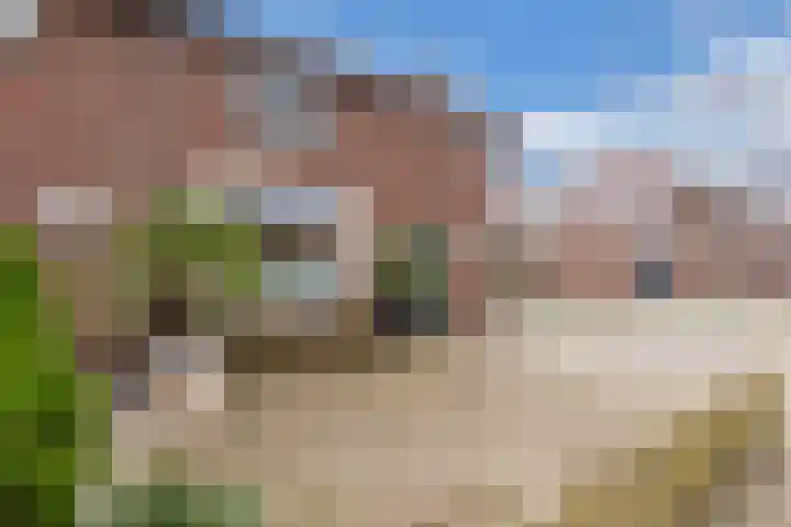 Galamalaan 51 Creil thumbnail 9