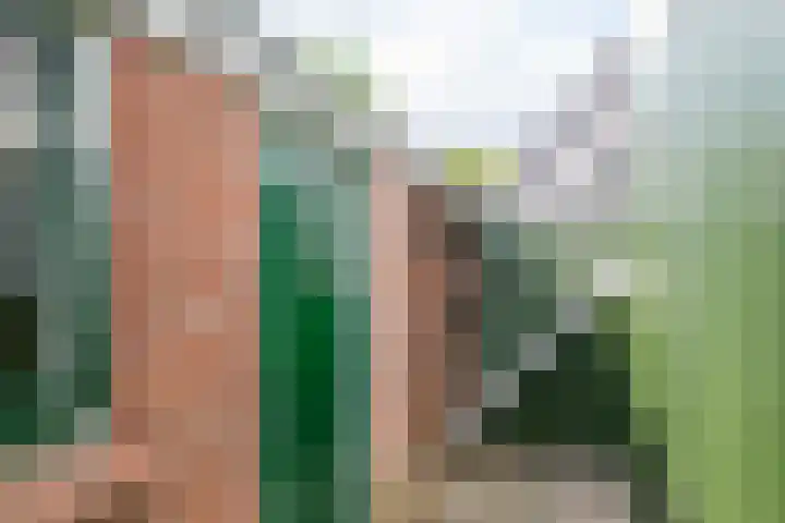 Galamastraat 6 's-Heerenberg thumbnail 31