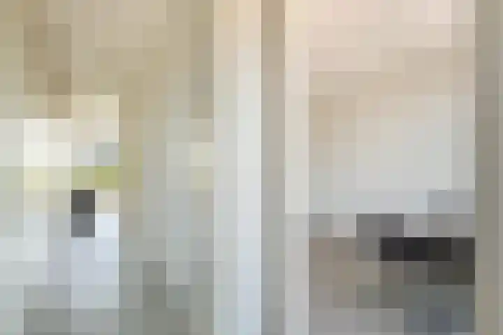 Galantstraat 37 Amsterdam thumbnail 17