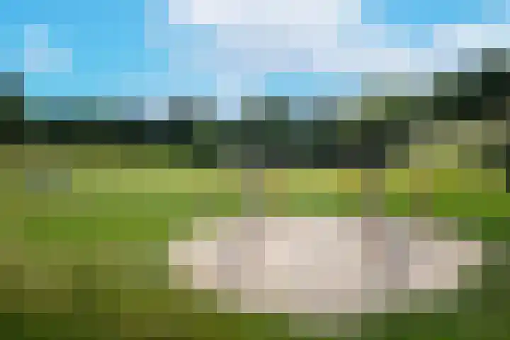 Galápagos 11 Utrecht thumbnail 31