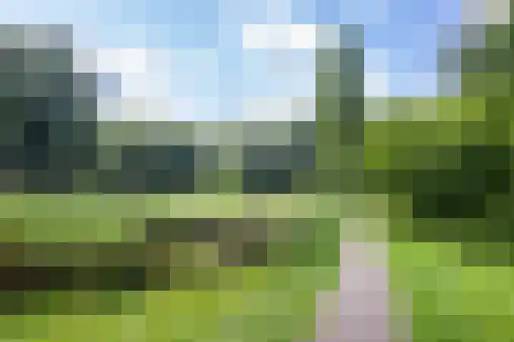 Galápagos 11 Utrecht thumbnail 32
