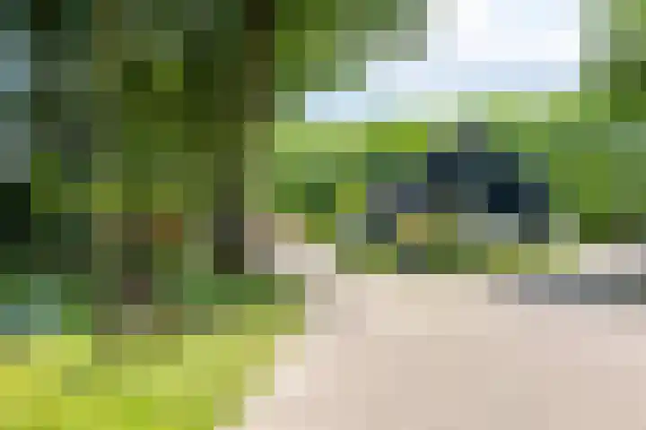 Galápagos 11 Utrecht thumbnail 33