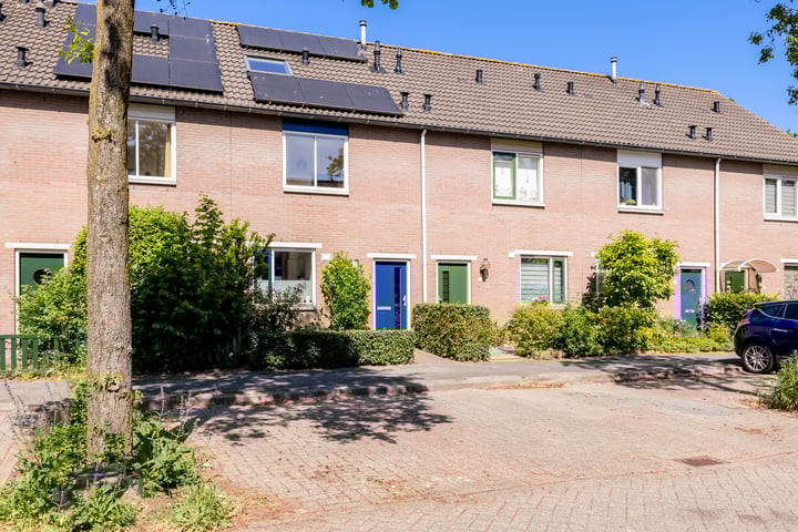 Galápagos 7 in Utrecht Foto