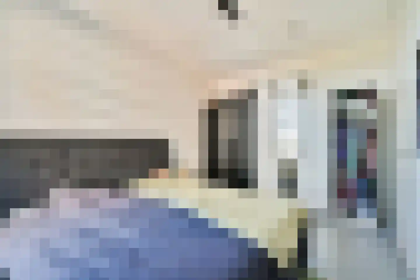 Galastraat 173 Amsterdam thumbnail 14