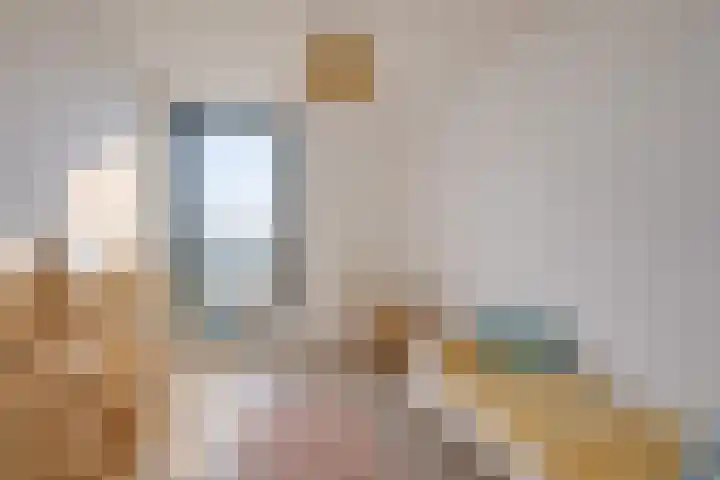 Galastraat 205 Amsterdam thumbnail 15