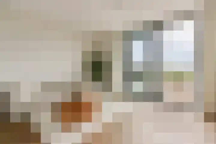 Galastraat 297 Amsterdam thumbnail 11